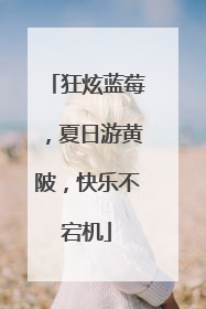 狂炫蓝莓，夏日游黄陂，快乐不宕机