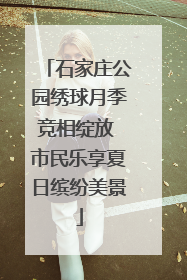 石家庄公园绣球月季竞相绽放 市民乐享夏日缤纷美景