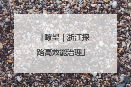 瞭望｜浙江探路高效能治理