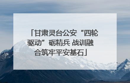 甘肃灵台公安“四轮驱动”砺精兵 战训融合筑牢平安基石