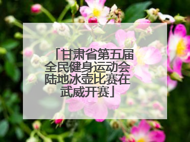 甘肃省第五届全民健身运动会陆地冰壶比赛在武威开赛