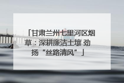 甘肃兰州七里河区烟草：深耕廉洁土壤 劲扬“丝路清风”