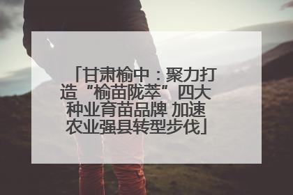 甘肃榆中：聚力打造“榆苗陇萃”四大种业育苗品牌 加速农业强县转型步伐