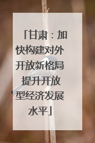 甘肃：加快构建对外开放新格局 提升开放型经济发展水平