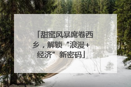 甜蜜风暴席卷西乡，解锁“浪漫+经济”新密码