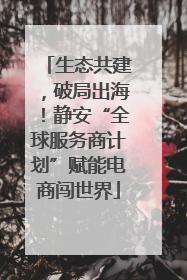 生态共建，破局出海！静安“全球服务商计划”赋能电商闯世界