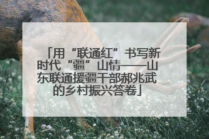 用“联通红”书写新时代“疆”山情——山东联通援疆干部郝兆武的乡村振兴答卷