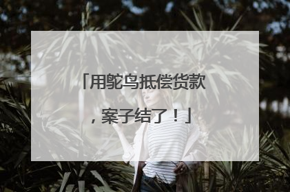 用鸵鸟抵偿货款，案子结了！