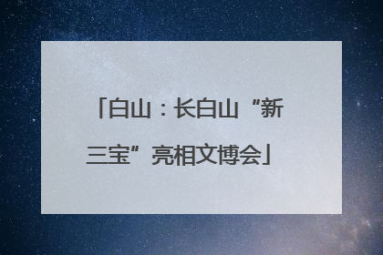 白山：长白山“新三宝”亮相文博会