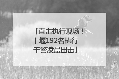 直击执行现场！十堰192名执行干警凌晨出击