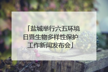 盐城举行六五环境日暨生物多样性保护工作新闻发布会