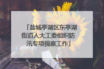 盐城亭湖区东亭湖街道人大工委组织防汛专项视察工作
