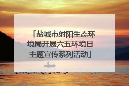 盐城市射阳生态环境局开展六五环境日主题宣传系列活动