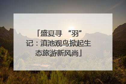 盛夏寻 “羽” 记：滇池观鸟掀起生态旅游新风尚