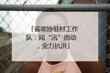 省政协驻村工作队：闻“汛”而动，全力抗洪