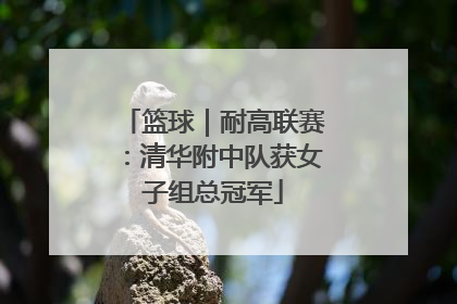 篮球｜耐高联赛：清华附中队获女子组总冠军