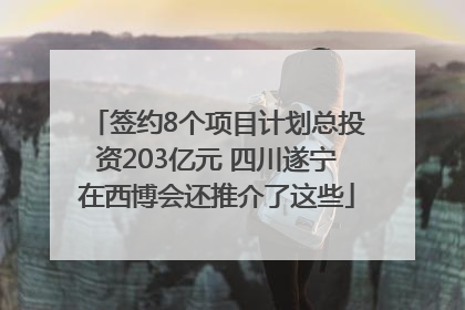签约8个项目计划总投资203亿元 四川遂宁在西博会还推介了这些