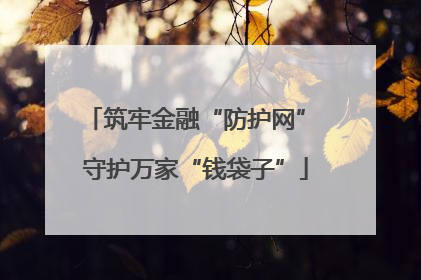 筑牢金融“防护网” 守护万家“钱袋子”