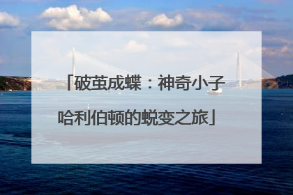 破茧成蝶：神奇小子哈利伯顿的蜕变之旅
