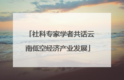 社科专家学者共话云南低空经济产业发展