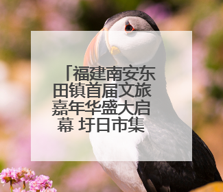 福建南安东田镇首届文旅嘉年华盛大启幕 圩日市集与杨梅采摘点燃乡村振兴新动能