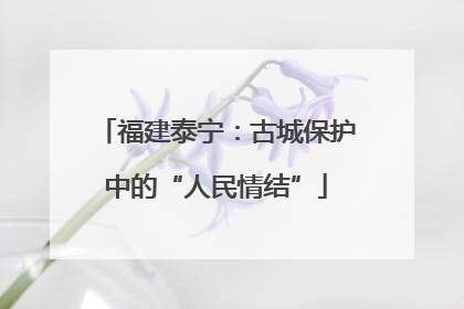 福建泰宁：古城保护中的“人民情结”