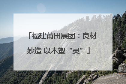 福建莆田展团：良材妙造 以木塑“灵”