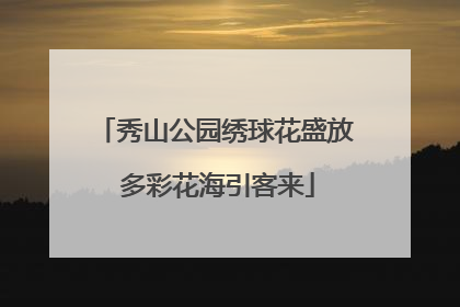 秀山公园绣球花盛放 多彩花海引客来