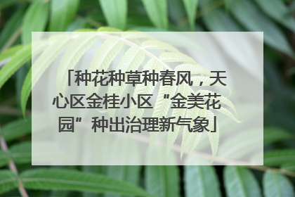 种花种草种春风，天心区金桂小区“金美花园”种出治理新气象