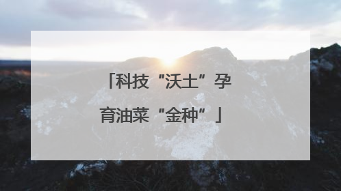 科技“沃土”孕育油菜“金种”