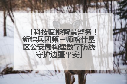 科技赋能智慧警务！新疆兵团第三师喀什垦区公安局构建数字防线守护边疆平安