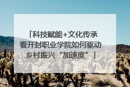 科技赋能+文化传承 看开封职业学院如何驱动乡村振兴“加速度”