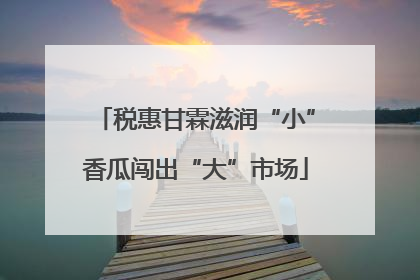 税惠甘霖滋润“小”香瓜闯出“大”市场