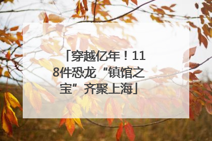 穿越亿年！118件恐龙“镇馆之宝”齐聚上海