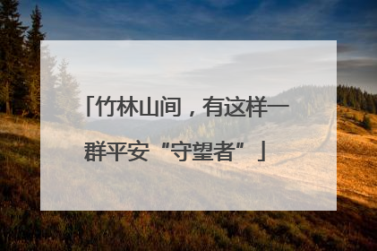 竹林山间，有这样一群平安“守望者”