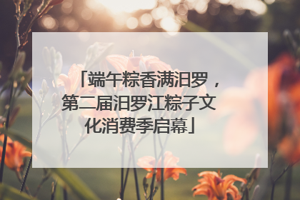 端午粽香满汨罗，第二届汨罗江粽子文化消费季启幕