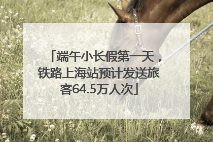 端午小长假第一天，铁路上海站预计发送旅客64.5万人次