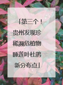 第三个！贵州发现珍稀濒危植物睡莲叶杜鹃新分布点