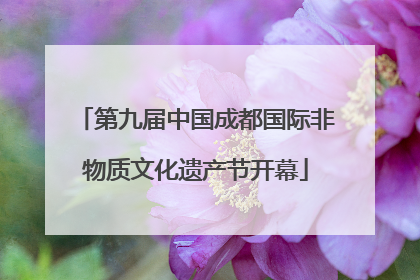 第九届中国成都国际非物质文化遗产节开幕