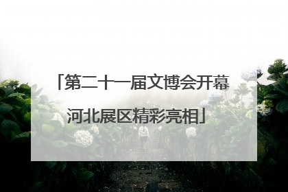 第二十一届文博会开幕 河北展区精彩亮相