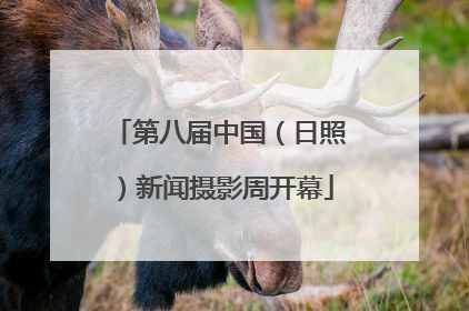 第八届中国（日照）新闻摄影周开幕