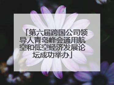 第六届跨国公司领导人青岛峰会通用航空和低空经济发展论坛成功举办