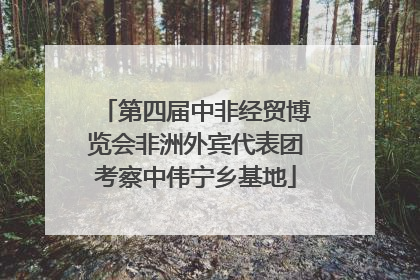 第四届中非经贸博览会非洲外宾代表团考察中伟宁乡基地