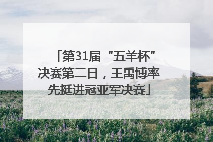 第31届“五羊杯”决赛第二日，王禹博率先挺进冠亚军决赛