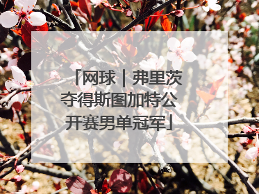 网球｜弗里茨夺得斯图加特公开赛男单冠军
