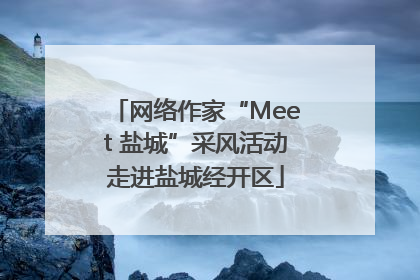 网络作家“Meet 盐城”采风活动走进盐城经开区