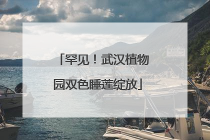 罕见！武汉植物园双色睡莲绽放