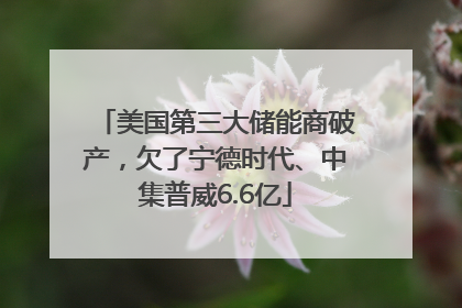 美国第三大储能商破产，欠了宁德时代、中集普威6.6亿