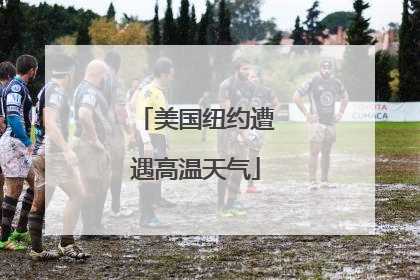 美国纽约遭遇高温天气