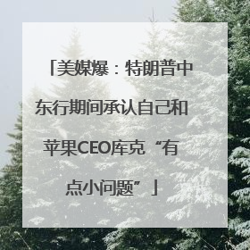 美媒爆：特朗普中东行期间承认自己和苹果CEO库克“有点小问题”
